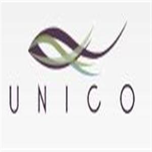 UNICO AUN - 80 氣壓式銀幕 