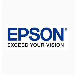 EPSON C13S050631原廠原裝黑色雙包裝碳粉匣