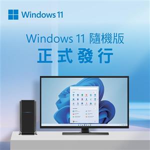 微軟Microsoft Win 11 Pro 64Bit 中文隨機版