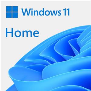 微軟Microsoft Win HOME 11 64 - bit USB 英文盒裝版