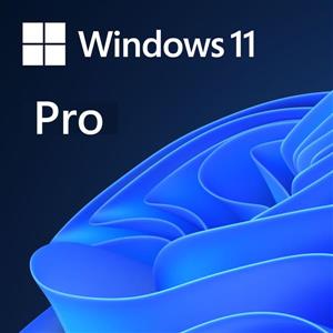 微軟Microsoft Win Pro 11 64 - bit USB 英文盒裝版