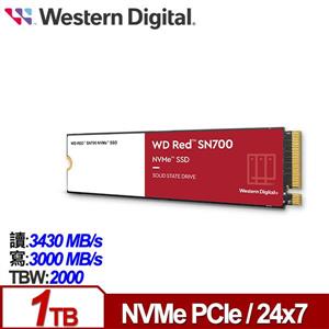 WD 紅標 SN700 1TB NVMe PCIe NAS SSD